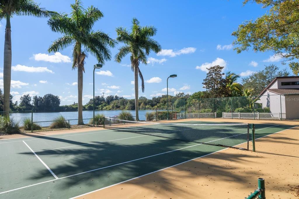 2402 PINE HAMMOCK, CLEARWATER, FL — photo 4 of 30