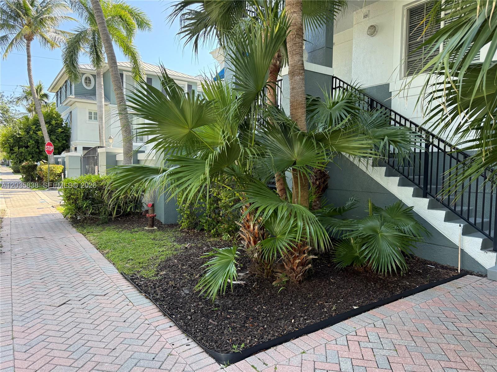 A palm tree stands in a mulched garden bed next to an outdoor staircase — 250 NE 3rd Ave # 1210, Delray Beach FL 33444, DELRAY BEACH, FL