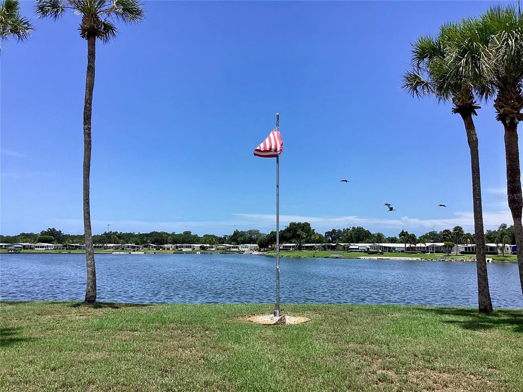 A flag flies on a pole between two palm trees overlooking a lake and houses — 8451 IMPERIAL CIRCLE, PALMETTO, FL