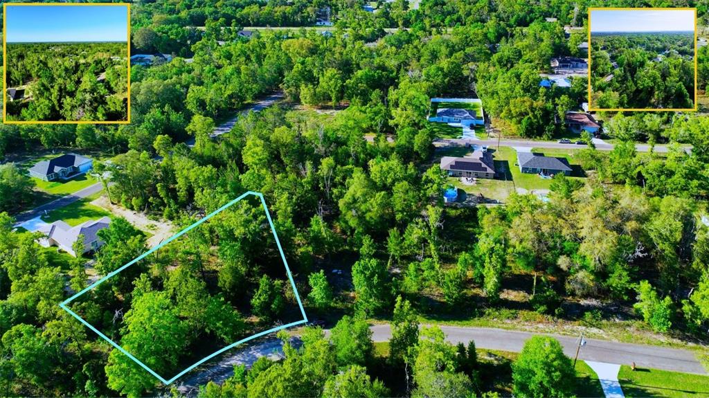 An aerial view shows a wooded residential lot outlined in blue near a paved road — TBD FISHER LN WAY, OCKLAWAHA, FL