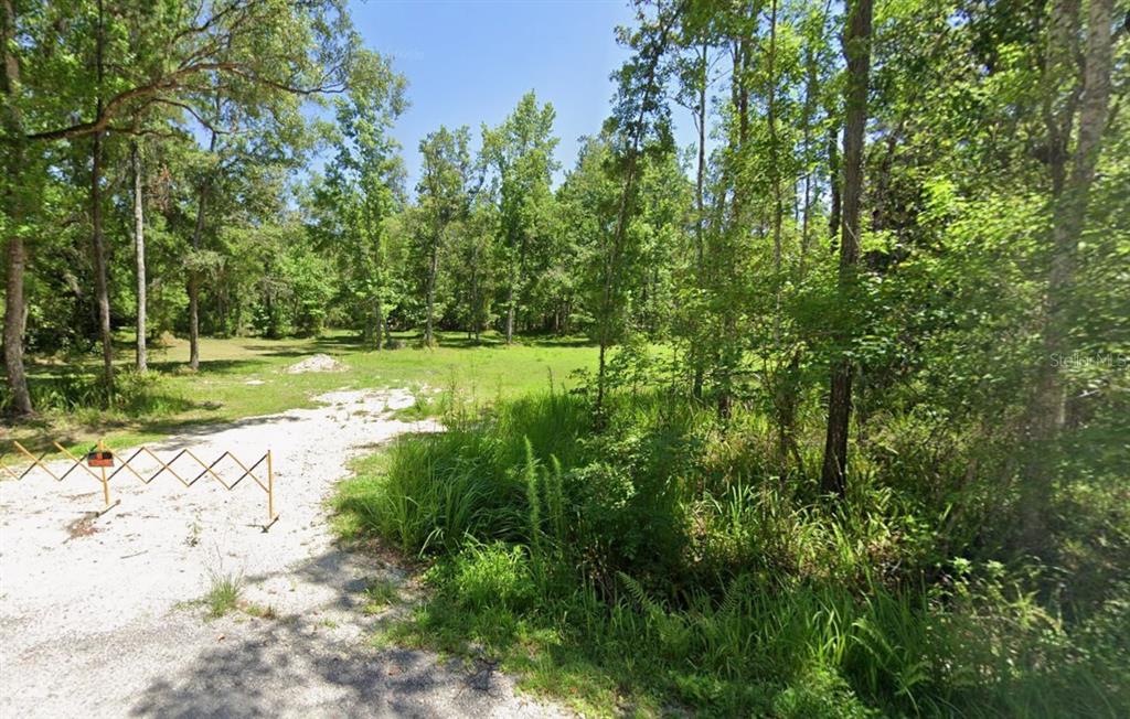 A gravel driveway leads to a cleared, grassy lot surrounded by dense woods — 0 RAY BROWNING ROAD, BROOKSVILLE, FL