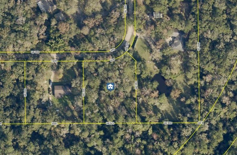 This is an aerial map showing property boundary lines overlaid on a wooded residential lot — 0 RAY BROWNING ROAD, BROOKSVILLE, FL