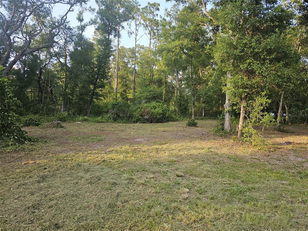 40TH, WEBSTER, FL — photo 2 of 8