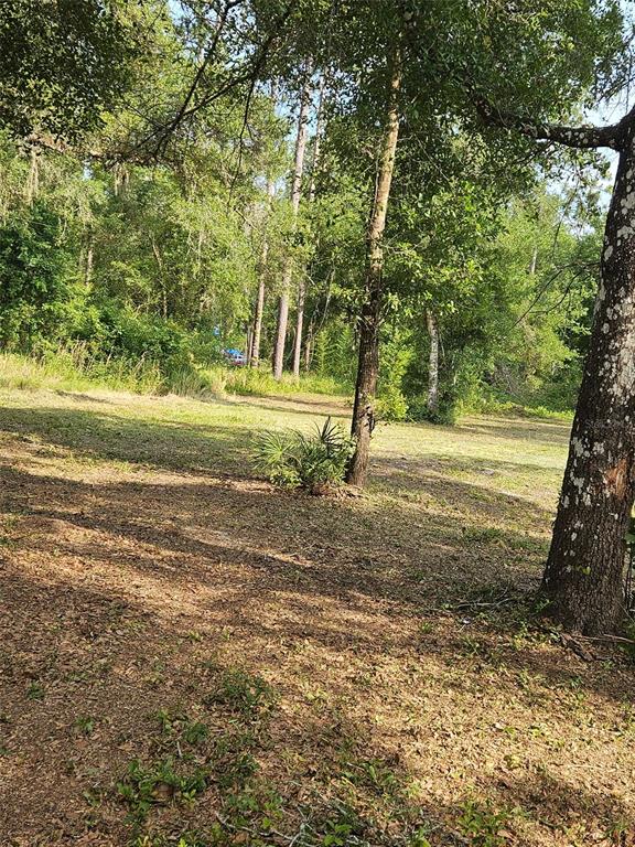 40TH, WEBSTER, FL — photo 3 of 8