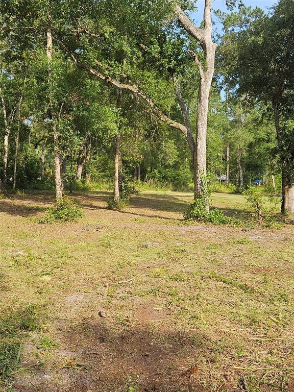 40TH, WEBSTER, FL — photo 4 of 8