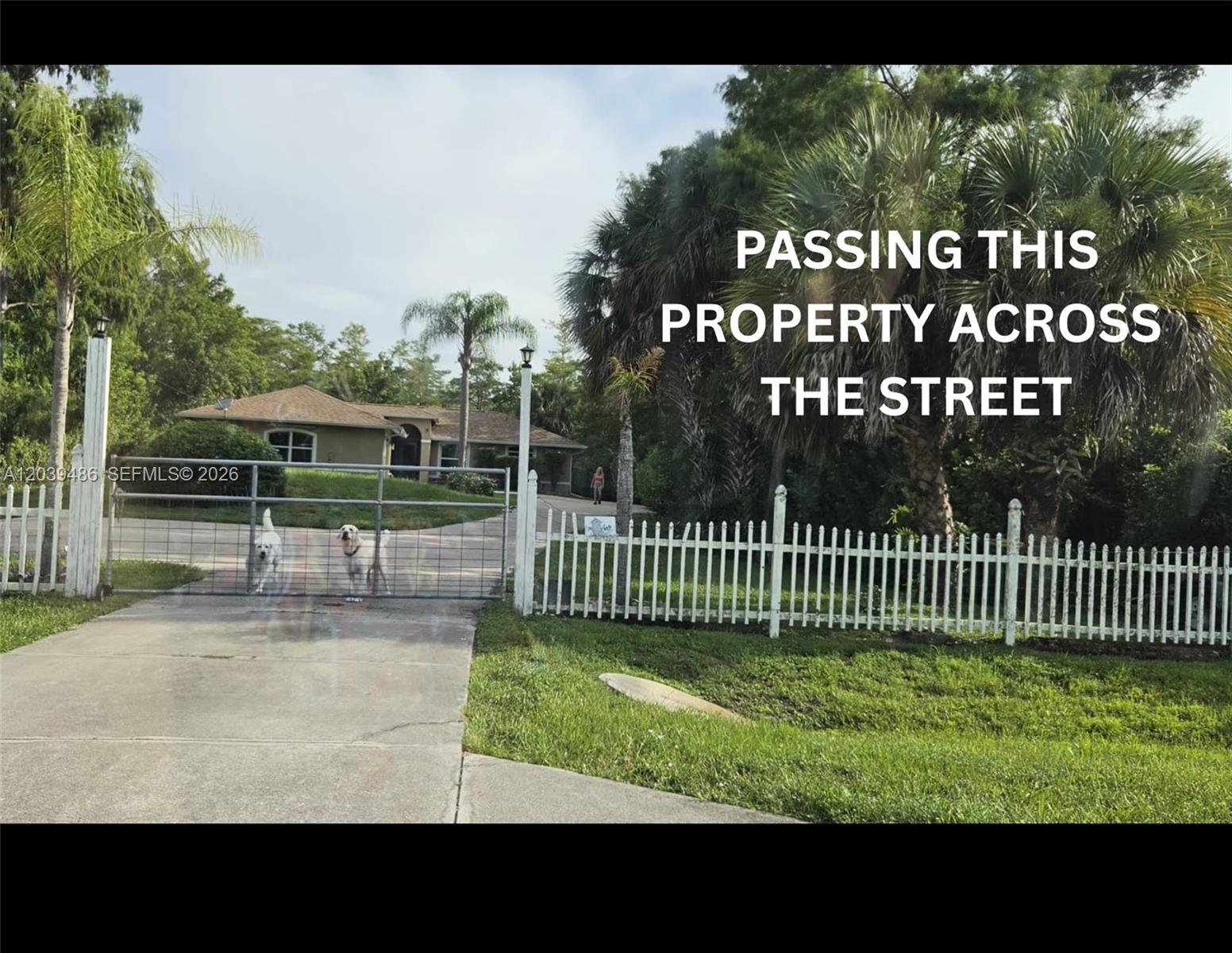A gated driveway leads to a house with a white picket fence and two dogs — XXXX NE 45TH ave, Naples FL 34120, NAPLES, FL