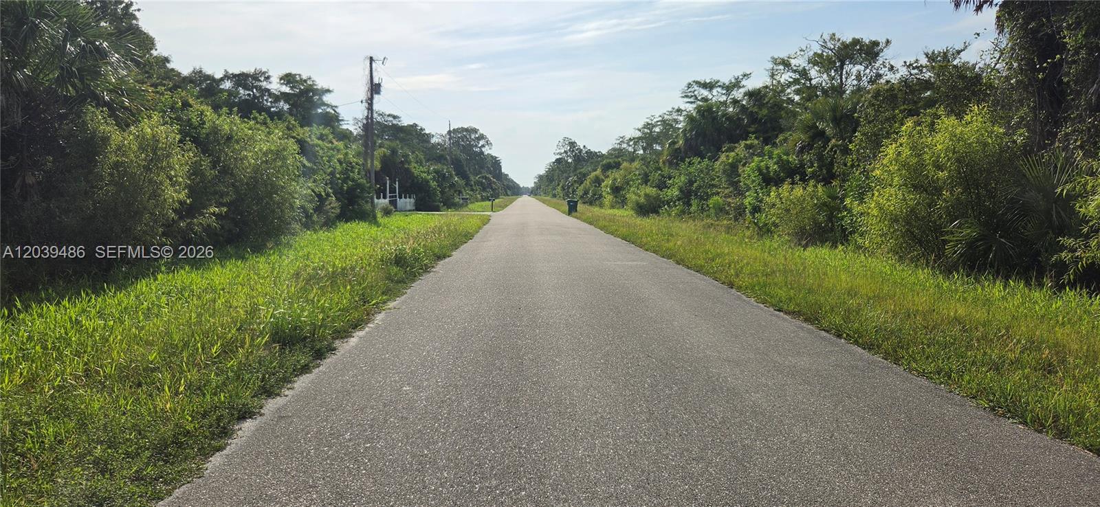 A paved road stretches into the distance, flanked by dense green vegetation and trees — XXXX NE 45TH ave, Naples FL 34120, NAPLES, FL
