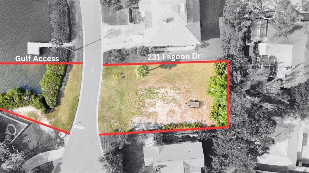 231 LAGOON DRIVE, PALM HARBOR, FL — photo 5 of 17