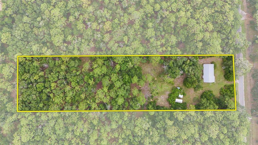 An aerial view shows a rectangular property lot containing a house and wooded land — 9955 S FORESTLINE AVENUE, INVERNESS, FL
