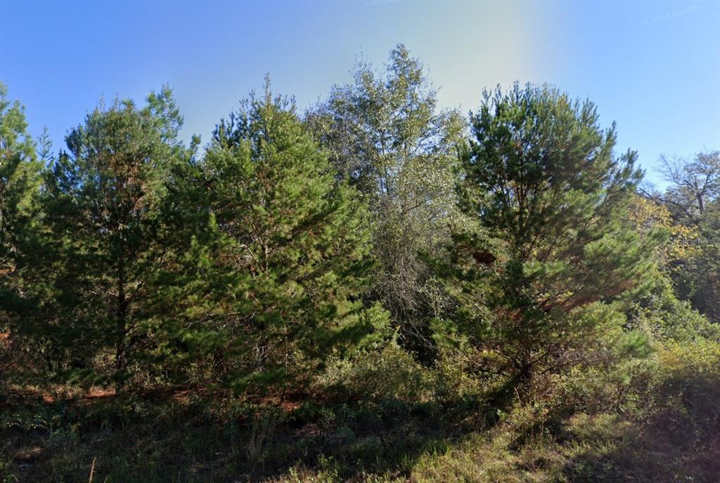 PARKVIEW LOT 13 DRIVE