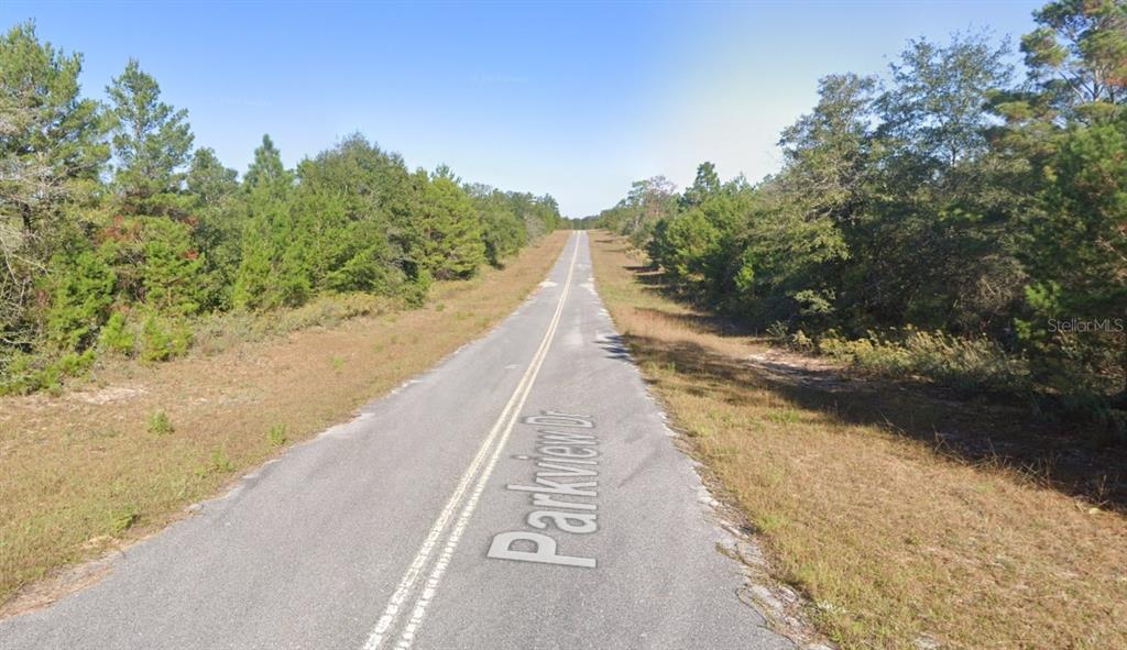 A paved road stretches through a wooded area with dry grass on both sides — PARKVIEW LOT 13 DRIVE, CHIPLEY, FL