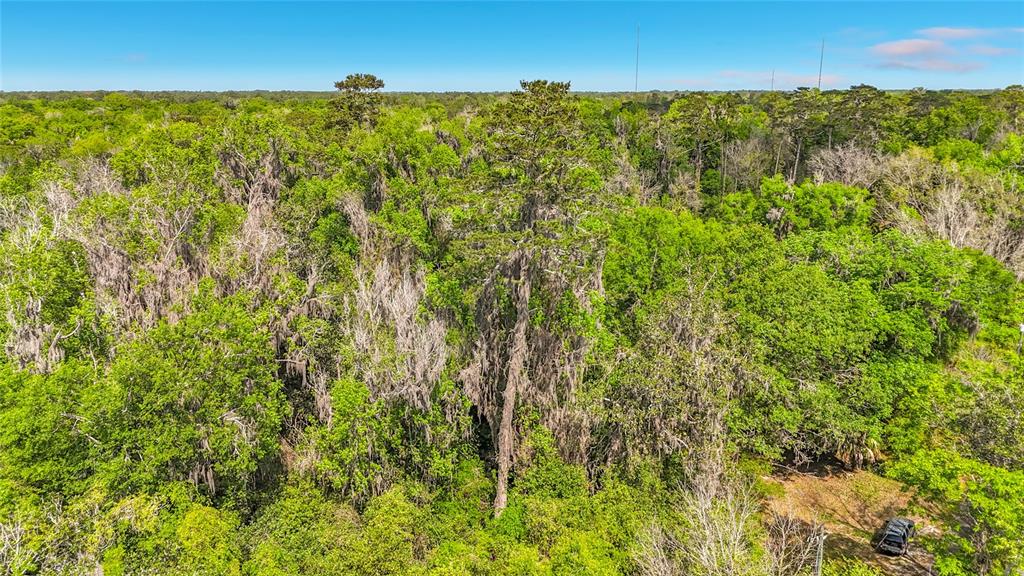An aerial view shows a dense forest with a tall tree covered in Spanish moss — Lot 002 NW 37TH DRIVE, GAINESVILLE, FL