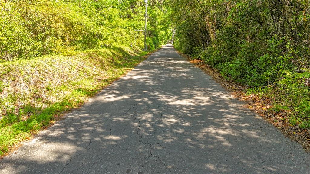A paved road stretches through a wooded area with dense green trees on both sides — Lot 002 NW 37TH DRIVE, GAINESVILLE, FL