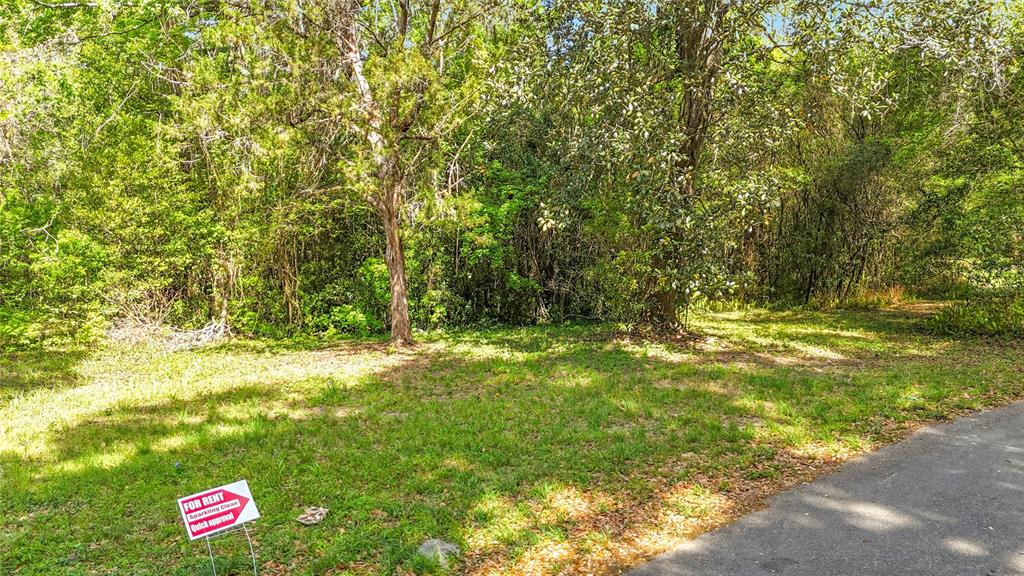 A grassy, wooded lot sits next to a paved road with a for rent sign — Lot 002 NW 37TH DRIVE, GAINESVILLE, FL