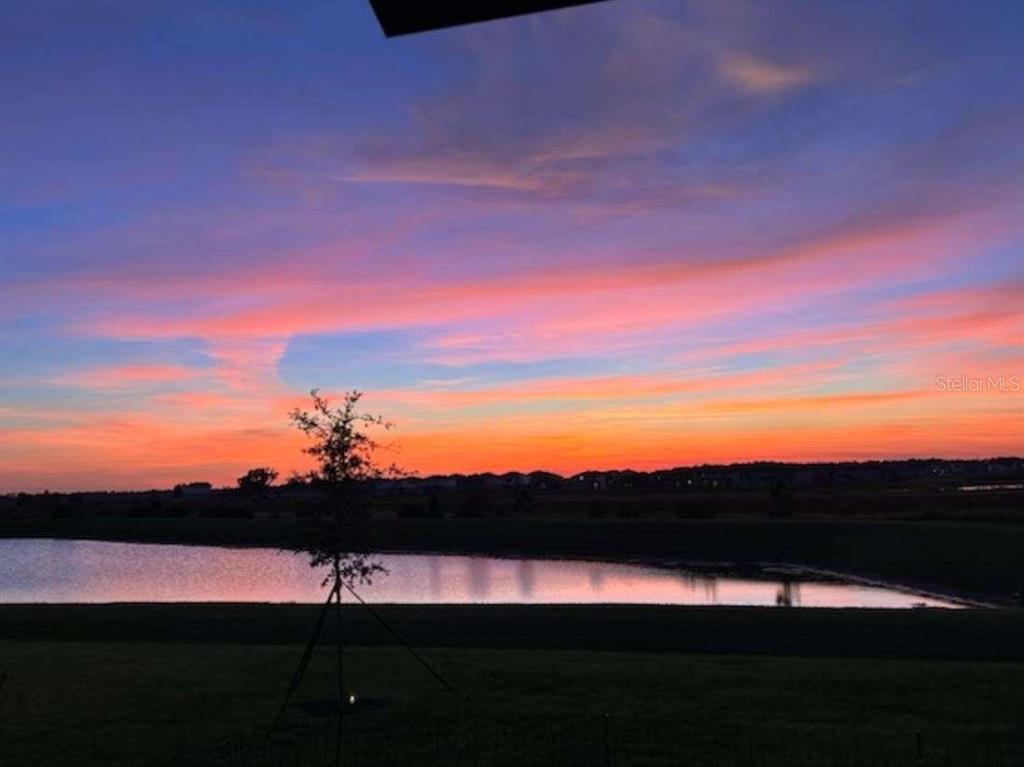 A vibrant sunset glows over a pond and grassy field in this outdoor view — 9685 BRANCHING SHIP TRACE, WESLEY CHAPEL, FL