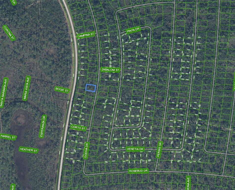 This is a satellite map showing a highlighted rectangular land parcel in a wooded area — 6641 GODIVA DRIVE, SEBRING, FL
