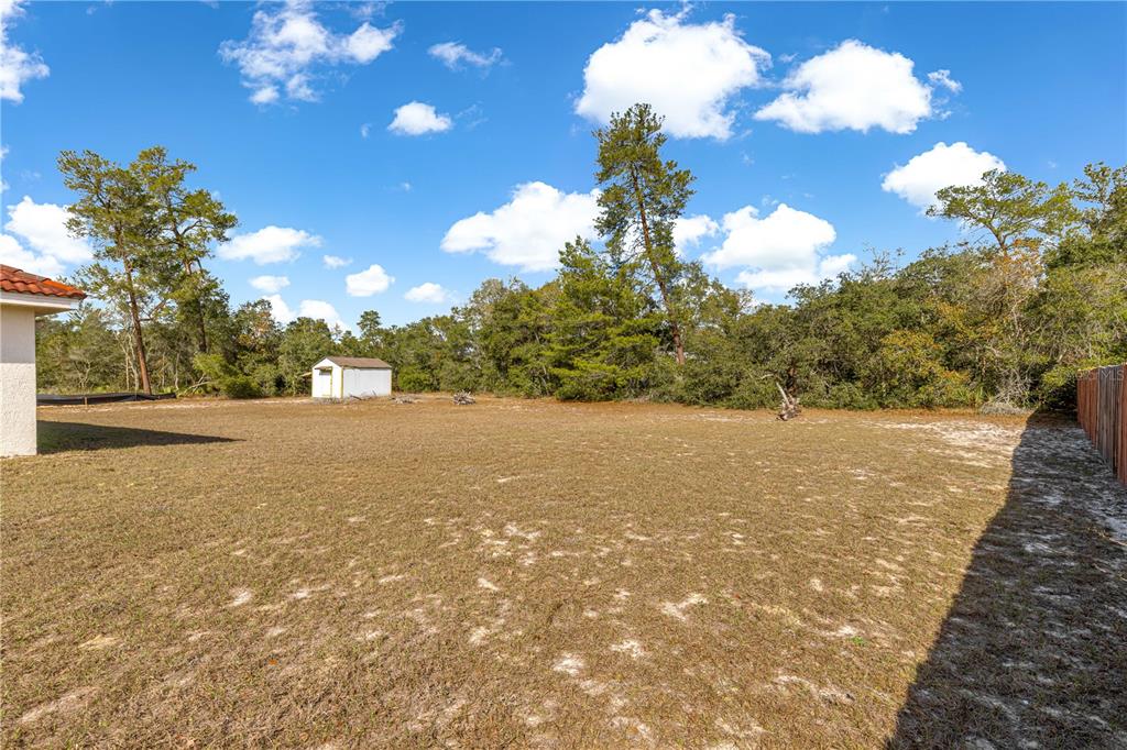 A large, flat, grassy backyard features a small shed and surrounding trees under a blue sky — 17179 SW 41ST CIRCLE, OCALA, FL