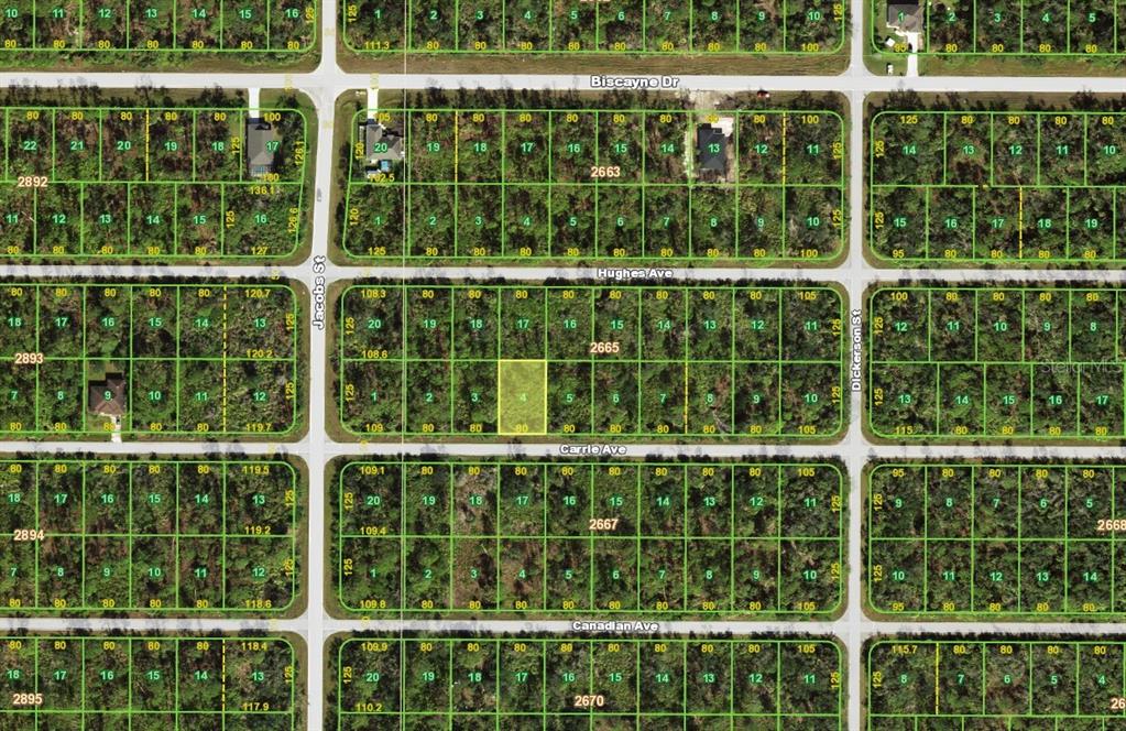 This is a map showing a grid of undeveloped residential land lots — 14028 CARRIE AVENUE, PORT CHARLOTTE, FL