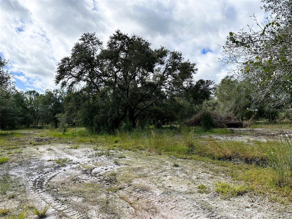SE TOMLIN #2 DRIVE, ARCADIA, FL — photo 2 of 5