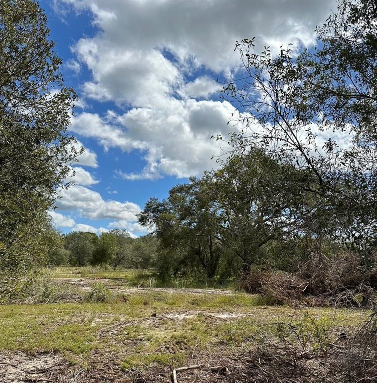 SE TOMLIN #2 DRIVE, ARCADIA, FL — photo 3 of 5