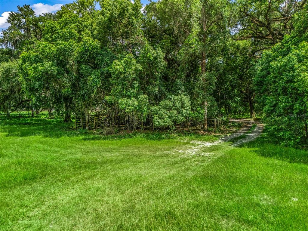 A dirt path leads from a grassy field into a dense, wooded area — 0000 CR 738 UNASSIGNED, WEBSTER, FL