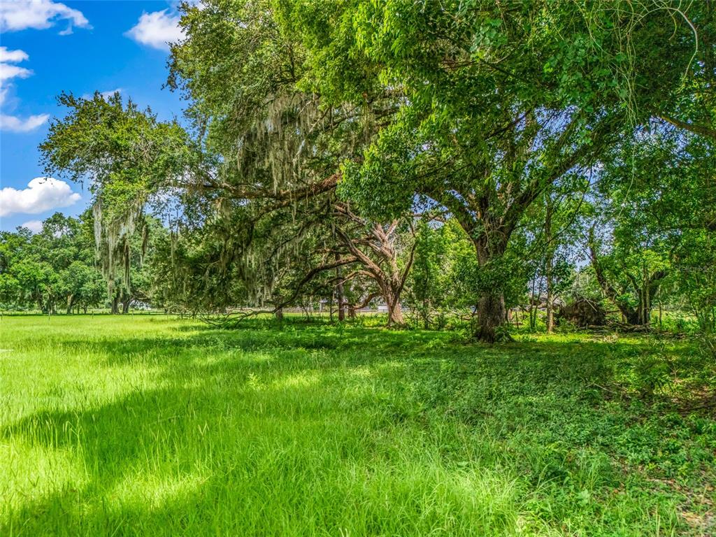 A large, grassy field features several mature oak trees with hanging Spanish moss — 0000 CR 738 UNASSIGNED, WEBSTER, FL