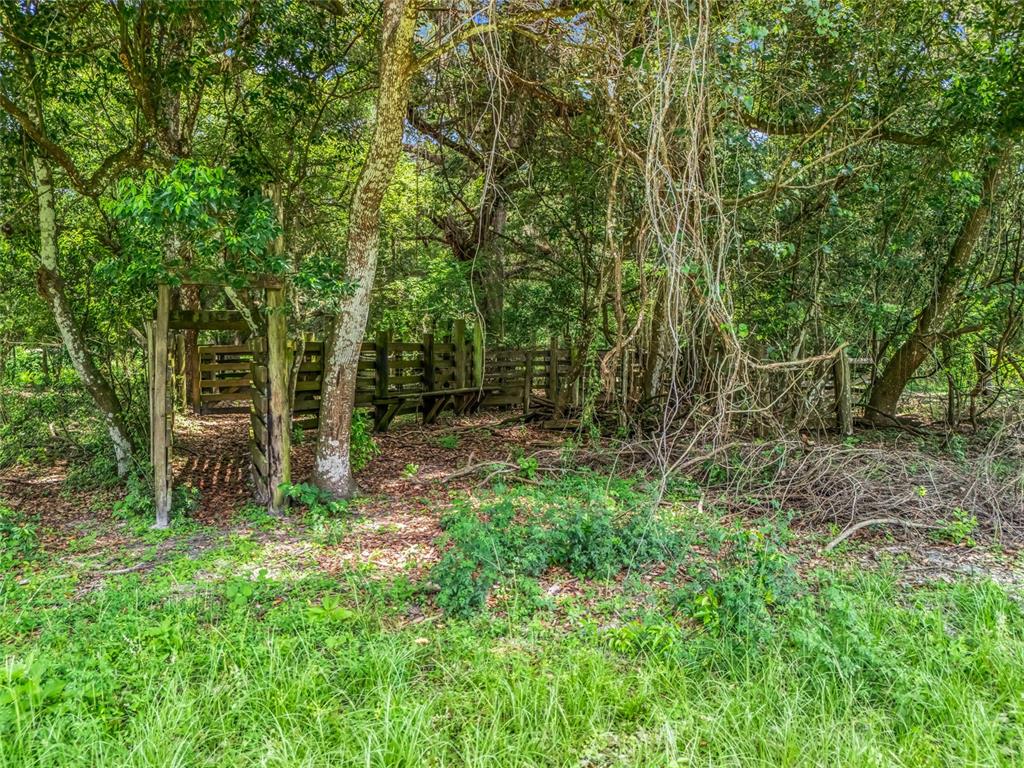 An old wooden cattle pen stands among trees in a wooded outdoor area — 0000 CR 738 UNASSIGNED, WEBSTER, FL
