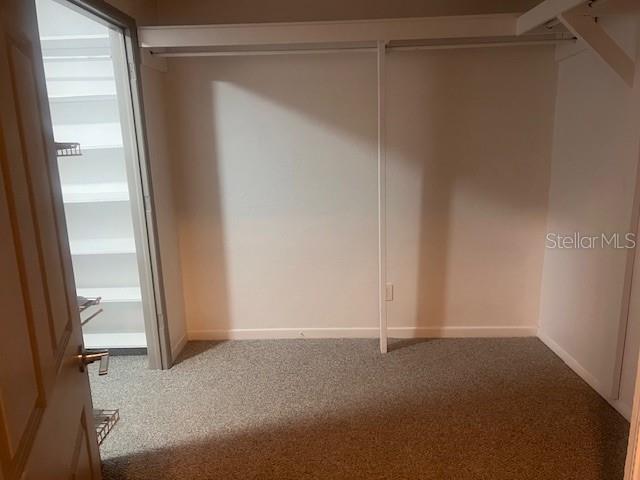 A walk-in closet features carpeted flooring, white walls, and a built-in shelving unit — 3717 46TH AVENUE S UNIT 11, ST PETERSBURG, FL