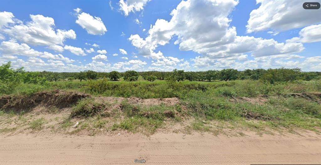 A dirt road runs in front of a grassy field with trees under a cloudy sky — HOLOPAW GROVES ROAD, ST CLOUD, FL