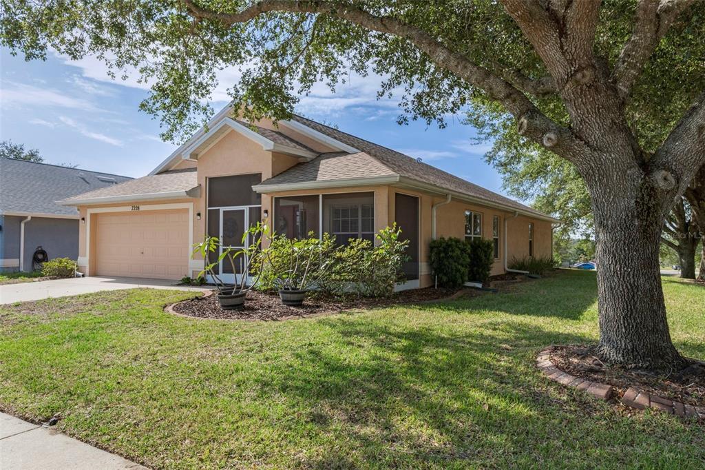 7228 CRESTED ORCHID DRIVE