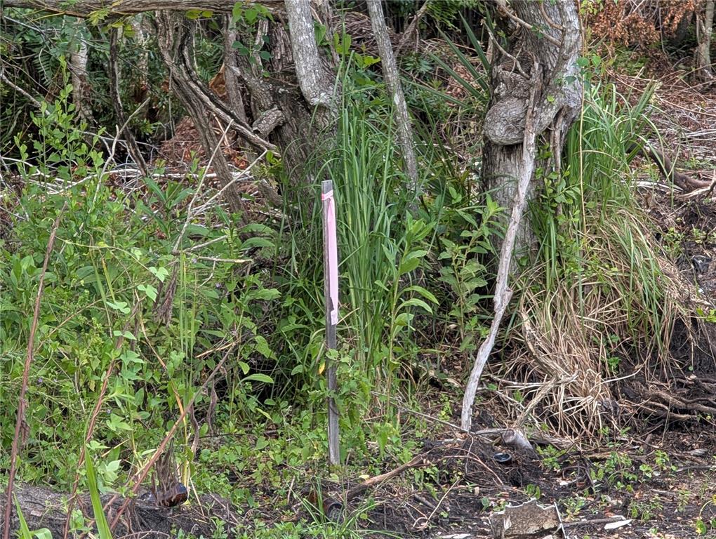 A wooden survey stake with pink flagging tape stands in a wooded, overgrown area — JEFFERSON AVENUE, ORLANDO, FL