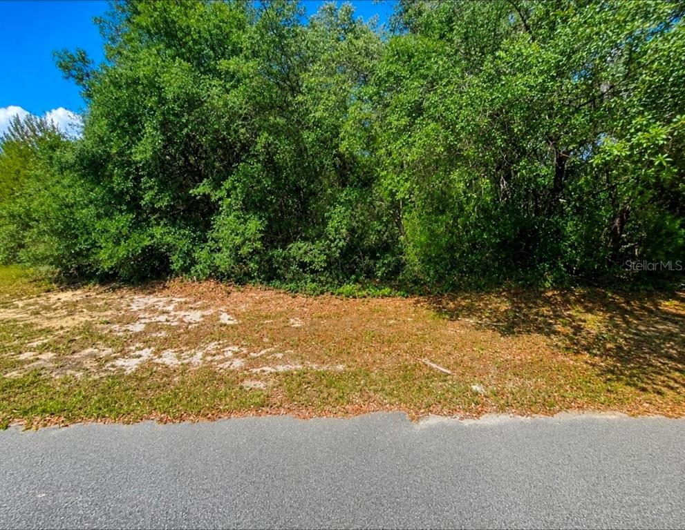 SW 164TH PLACE ROAD