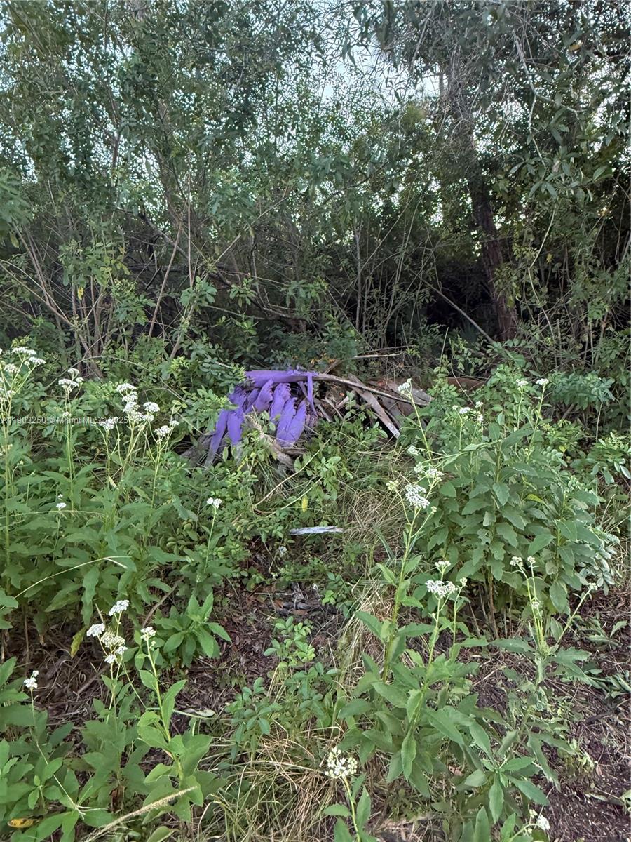 A purple fabric item lies on the ground amidst dense green vegetation and white flowers — 0000 UNASSIGNED, Indian Town FL 34956, INDIAN TOWN, FL