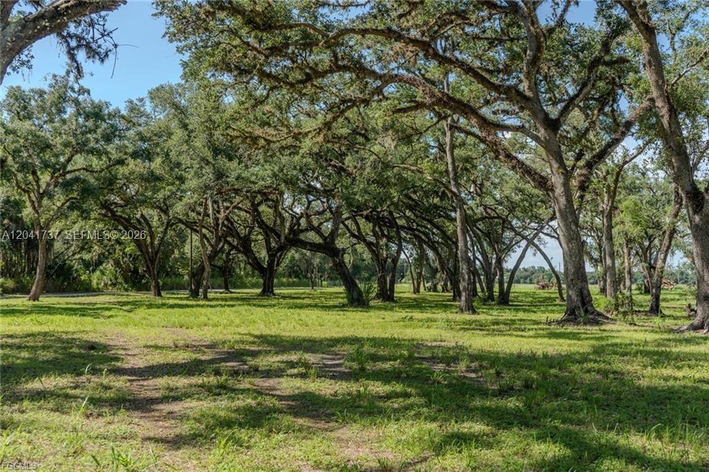 A grassy lot features numerous large, mature oak trees under a bright blue sky — 5247 County Road 78, La Belle FL 33935, LA BELLE, FL