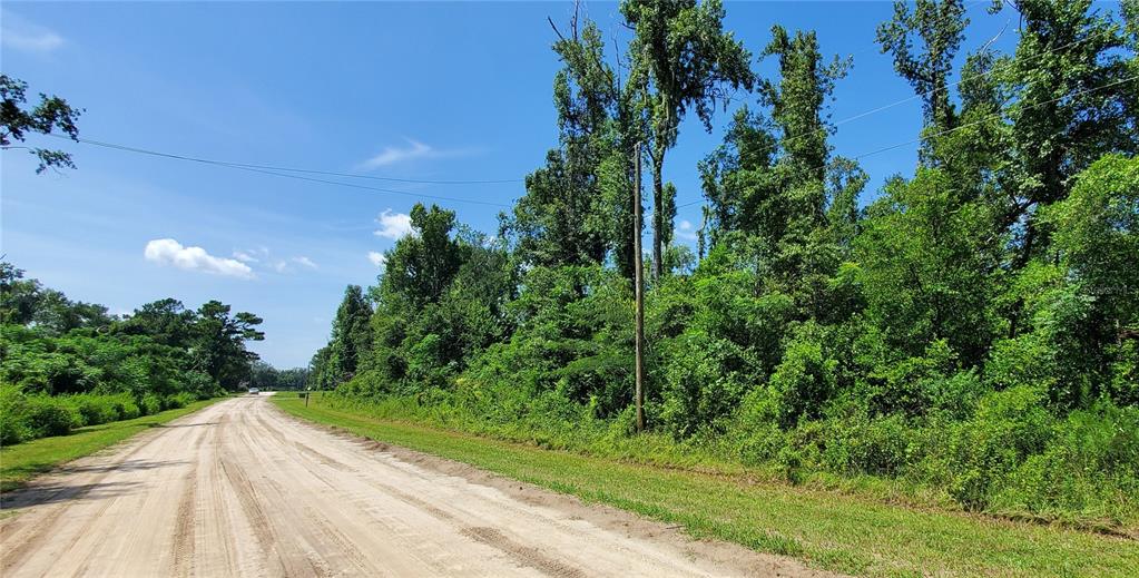 A dirt road runs alongside a dense, wooded lot under a clear blue sky — LOT11 NW 63RD BLVD, JENNINGS, FL