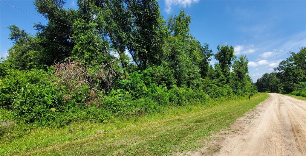 A dirt road runs alongside a dense, wooded lot under a bright blue sky — LOT11 NW 63RD BLVD, JENNINGS, FL