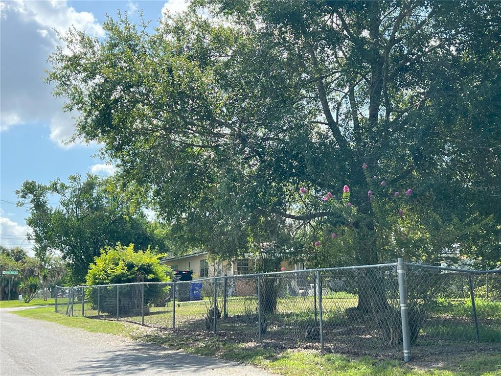 A chain-link fence encloses a yard with a large tree in front of a house — 510 PICKENS STREET, LAKELAND, FL