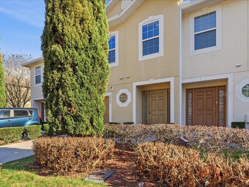 A two-story townhouse exterior features tan stucco walls, brown doors, and a tall evergreen tree — 3740 WOODBURY HILL LOOP, LAKELAND, FL