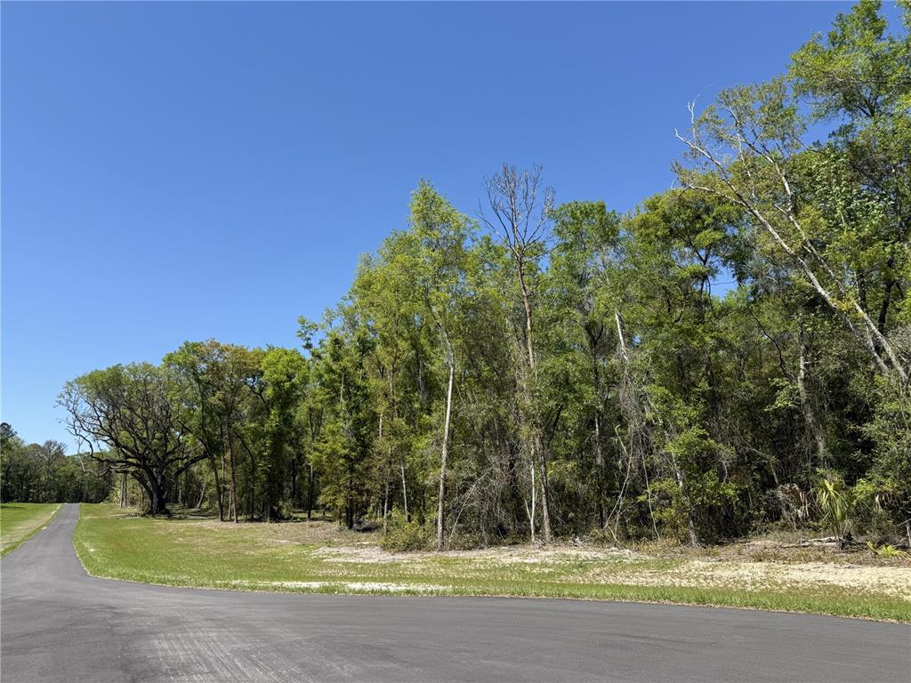 A paved road curves past a grassy lot bordered by a dense forest of trees — Irvine Acres #5 (13ac) W HWY 318, REDDICK, FL