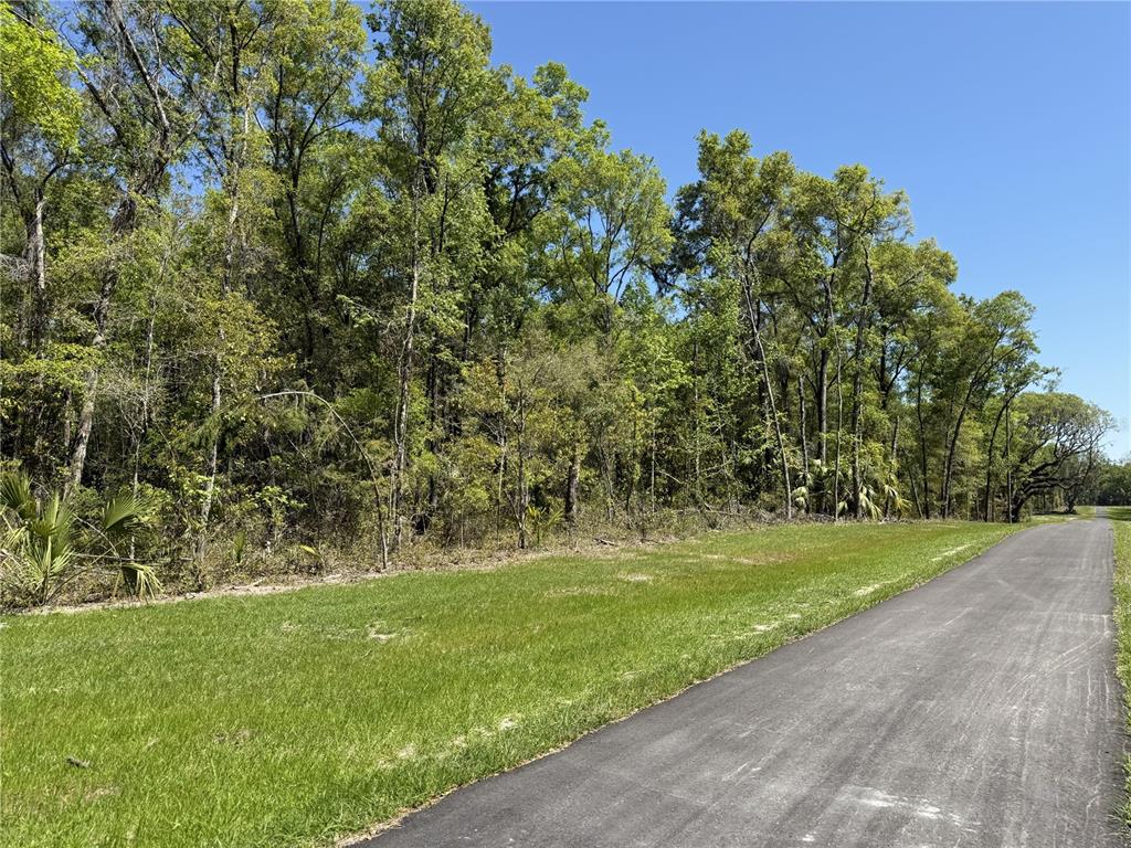 A paved road runs alongside a grassy lot bordered by a dense forest of trees — Irvine Acres #5 (13ac) W HWY 318, REDDICK, FL