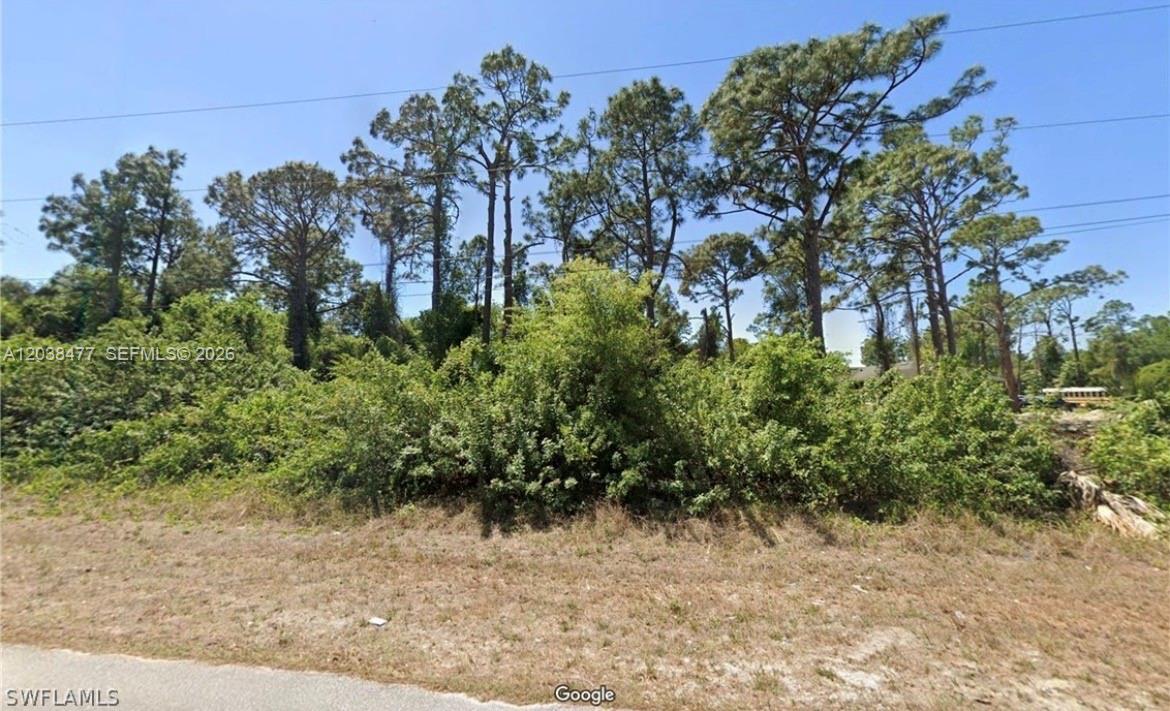 A vacant, overgrown lot features several tall pine trees against a clear blue sky — 4845 4847 30 SW, Lehigh Acres FL 33973, LEHIGH ACRES, FL