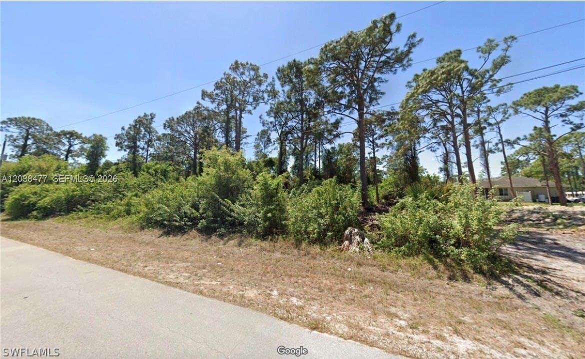 A vacant, wooded lot with tall pine trees sits adjacent to a paved road — 4845 4847 30 SW, Lehigh Acres FL 33973, LEHIGH ACRES, FL