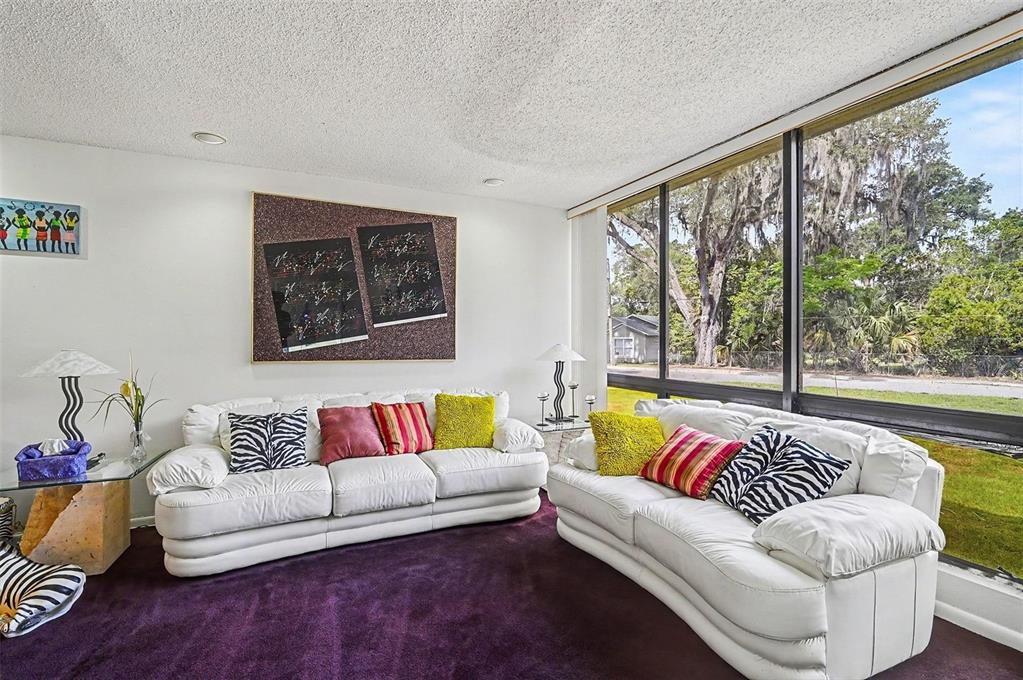 A living room features two white sofas, purple carpeting, and a large window with trees — 633 S DELAWARE AVENUE, DELAND, FL