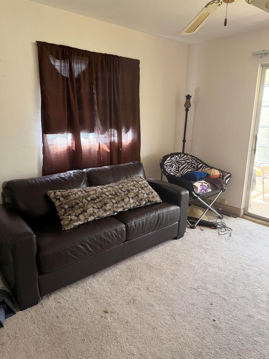 A living room features a brown leather sofa, a zebra-print chair, and a sliding glass door — 668 Monaco N # 668, Delray Beach FL 33446, DELRAY BEACH, FL