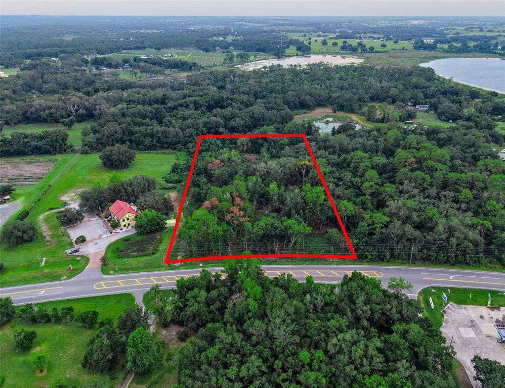 An aerial view shows a rectangular wooded lot outlined in red next to a road — COUNTY ROAD 48, YALAHA, FL