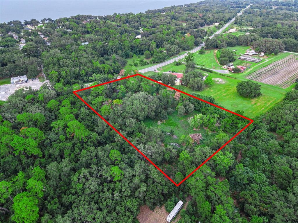 An aerial view shows a rectangular plot of land outlined in red amidst dense trees — COUNTY ROAD 48, YALAHA, FL