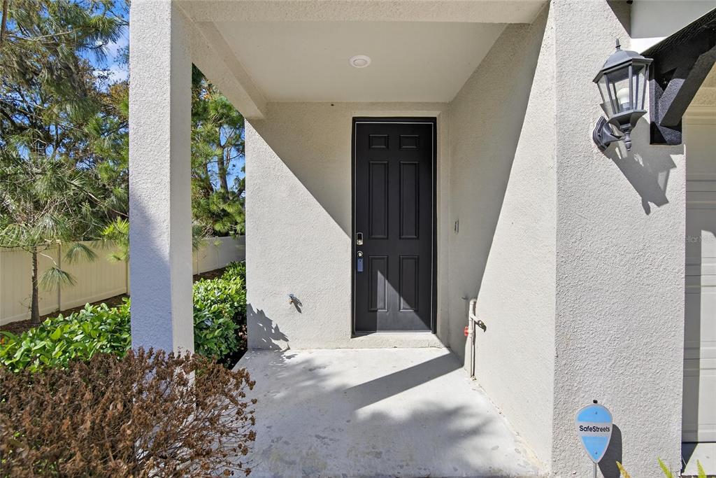 A black front door is centered under a covered porch with a light fixture — 2710 SCARLET BAY PLACE, BRANDON, FL