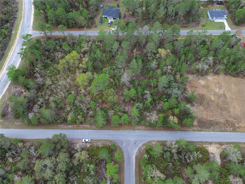 An aerial view shows a wooded, undeveloped lot situated between two paved residential roads — TBD MALAUKA LANE, OCKLAWAHA, FL