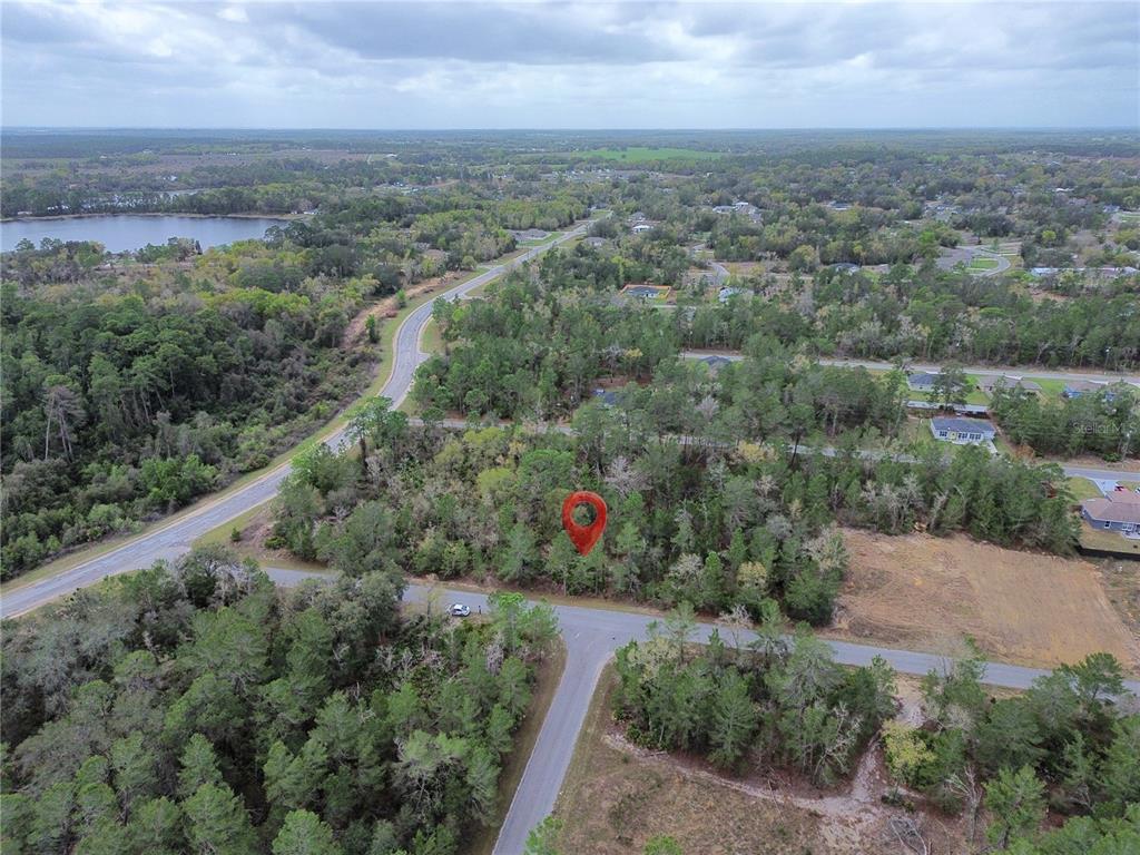 An aerial view shows a wooded lot marked with a red pin near a road — TBD MALAUKA LANE, OCKLAWAHA, FL