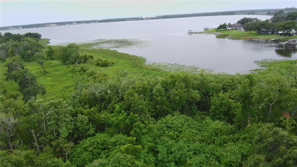 An aerial view shows a dense, wooded lot situated next to a lake and road — 0 ALFRED DRIVE E, LAKE ALFRED, FL